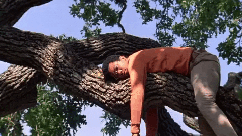 tree-hug.gif